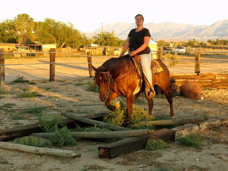 April Lee riding a horse through a log obstacle course at golden hour