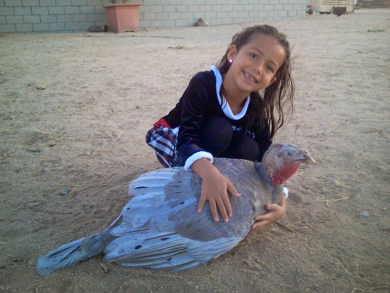 April Lee's daughter with a pet turkey on the ranch
